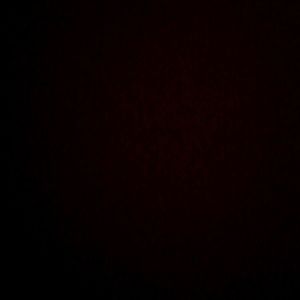 Meet your Posher, Edwin